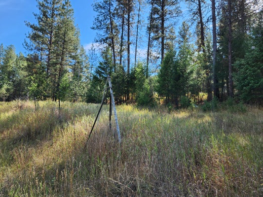 PINE GROVE ST, REPUBLIC, WA 99166 - Image c5ec21b0da41d3f7d08575ceb123bc9b/3322021049