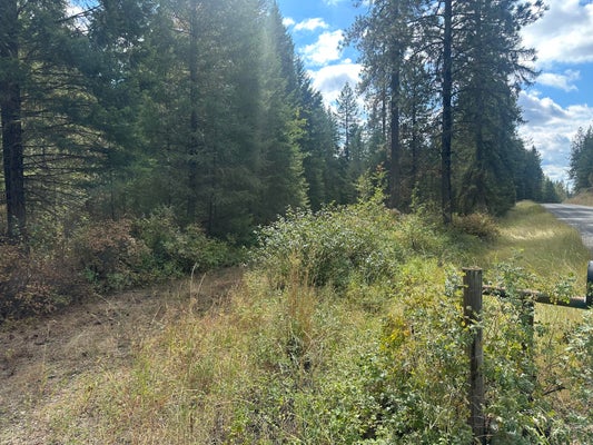 W JUMPOFF RD, VALLEY, WA 99181 - Image c700f4e04d8f75d1688950eddb08ec1c/2401537131
