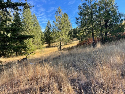4008 B BISSELL RD, HUNTERS, WA 99137 - Image dc72db071766fabe856d062ffb516701/1201418032