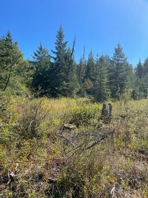 3 REED RD, IONE, WA 99139 - Image e147b635beafeb1f0c2c4f43fbc9dd0c/322067082
