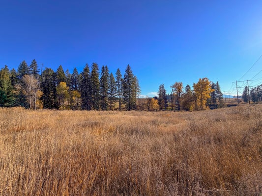 2082 WHITE TAIL WAY, COLVILLE, WA 99114 - Image e3f11b0cd0793d96a59438ca25024a74/761774611