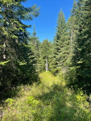 3 REED RD, IONE, WA 99139 - Image f47302453b4868941e9f8ee461d8c80e/903006860