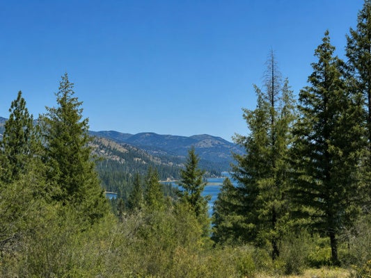 3634 HIGHWAY 25 N, NORTHPORT, WA 99157 - Image f71fd51e04cac1e9f361d8dd7b3958b2/3503142372