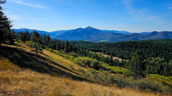 ADDRESS PRIVATE, HUNTERS, WA 99137 - Image fe740f00b3f8ec4ce145c5fc4ab0da7b/1855466326