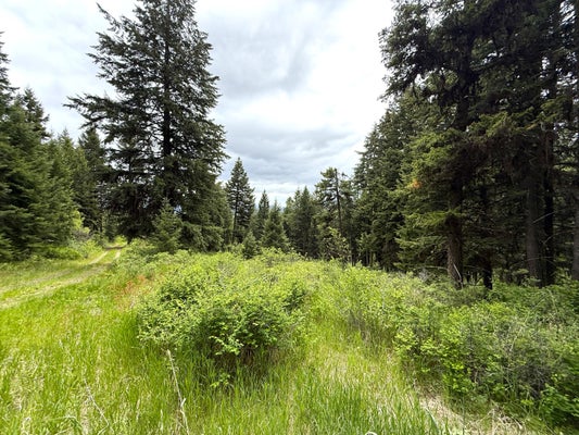 PONTIAC RIDGE RD, OROVILLE, WA 98844 - Image ffa362e43732aa7a20bd655ee5627736/411689158