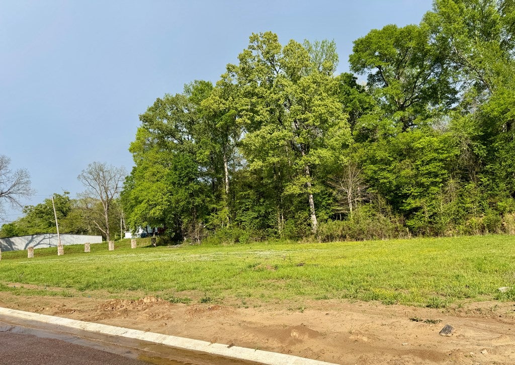 00 Plainview Dr lot 2 - Photo 2