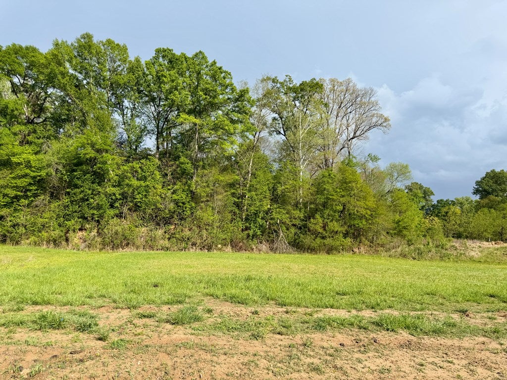 00 Plainview Dr lot 4 - Photo 3