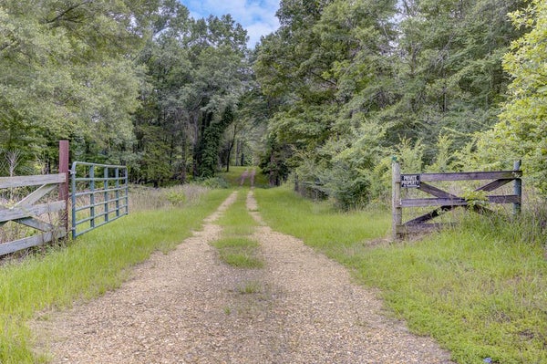 28137 HIGHWAY 18, UTICA, MS 39175 - Image c3369b2c2ea287fdfc048f7fa3fde1db/4229416797