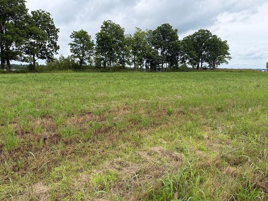 EAGLE LAKE SHORE RD, VICKSBURG, MS 39183 - Image d918c3f1000e4d30bfd96dcdefe94668/2018189773