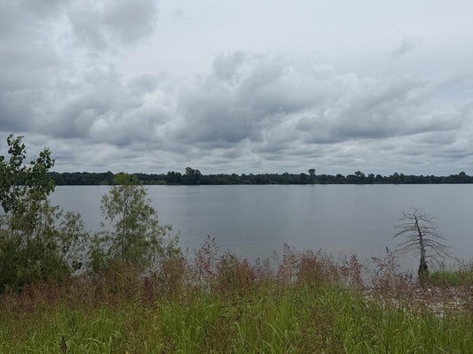 EAGLE LAKE SHORE RD, VICKSBURG, MS 39183 - Image fc042a8df5ca732ec53dc668309fa764/1225905784