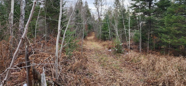 ADDRESS PRIVATE, PICKFORD, MI 49774 - Image 1f9955ee077edfc3d47f656dcc3915e4/526509770