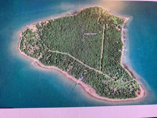 ADDRESS PRIVATE, DRUMMOND ISLAND, MI 49726 - Image 4f79023eddeebaad01a8d0ff6f1cc6ea/1585348872