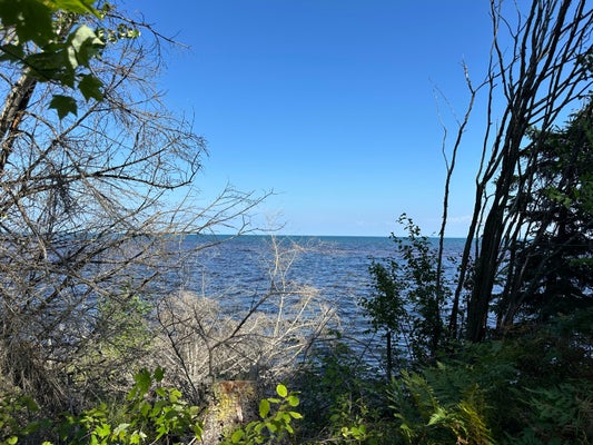 10170 N WHITEFISH POINT RD, PARADISE, MI 49768 - Image 656e3a29d2da8f6a9a3e5ad5d69fc62a/381849896