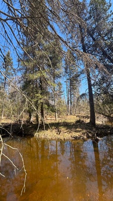 S FLOWER BAY RD, CEDARVILLE, MI 49719 - Image ae788ae552c3f60bbef94cd8ffd30e7f/2269464957