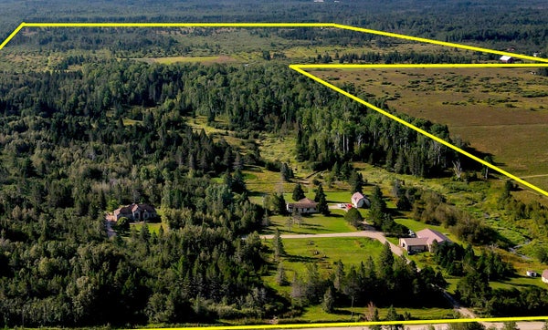2545A E SIMMONS RD, HESSEL, MI 49745 - Image bc5aa0d377b5c1d9bddd79630cee3071/1440267802
