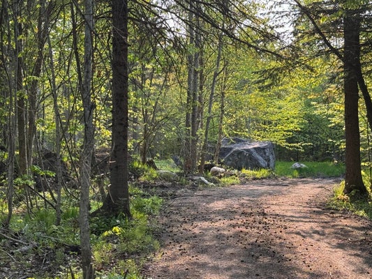 WILLIAM HILL RD, GRAND MARAIS, MI 49839 - Image ef784e7e1f084b7b4849f5b0c8c7d1bb/2366941610