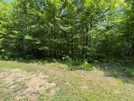 DEER RUN RD, KINROSS, MI 49752 - Image 454f53d3976884a263babdfb8ee3e8d3/825867457
