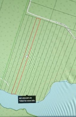 323 N THOMPSON LAKE RD, BOIS BLANC IS, MI 49775 - Image 537ea4ce28eff857e371cf2687a0e224/3513986255