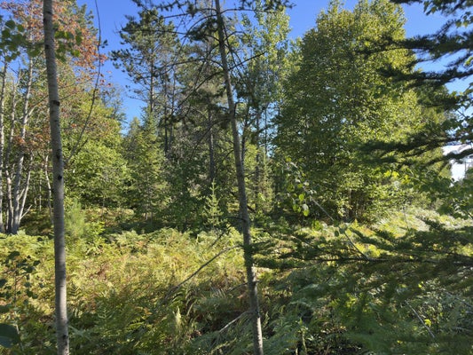 15796 N WHITEFISH POINT RD, PARADISE, MI 49768 - Image 7f2500d53e003e6163bcffb2cdb4dfc1/335981765