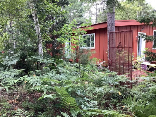 15460 N WHITEFISH POINT RD, PARADISE, MI 49768 - Image 9d4b6229ae3644dd5ac7cb97b2adaee9/3724218652