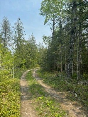 TBD W M-134 HWY, HESSEL, MI 49745 - Image a2f1b291740c96db3775a42a5ff4ec66/1849746292