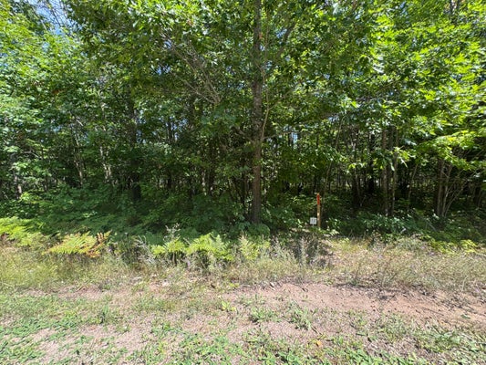 DEER RUN RD, KINROSS, MI 49752 - Image be0c077c72f25a11577cf9a214a4d9ce/3664366367