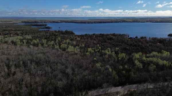 E SOUTH CARIBOU LAKE RD, DE TOUR VILLAGE, MI 49725 - Image c7ad471f3f7c0b84f311b94ea8bc5e49/17045941