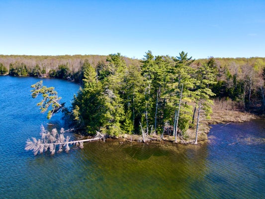 FLORENCE DR, MC MILLAN, MI 49853 - Image f206c2a732f708014e36d7f4c1dcfb2a/2239426946
