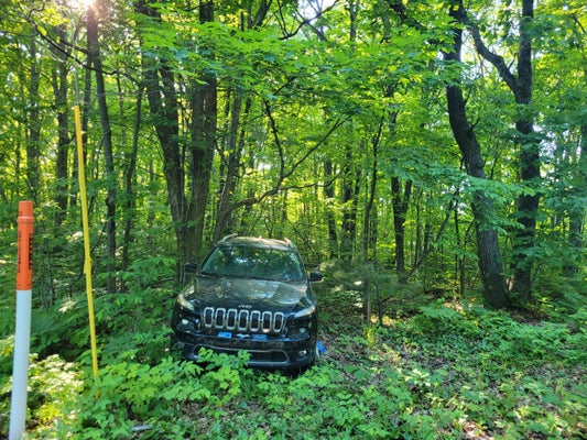 13577 W LAKEVIEW RD, BRIMLEY, MI 49715 - Image f5343f9b050f93a67c4f4cd8cecd9ea8/1033397501