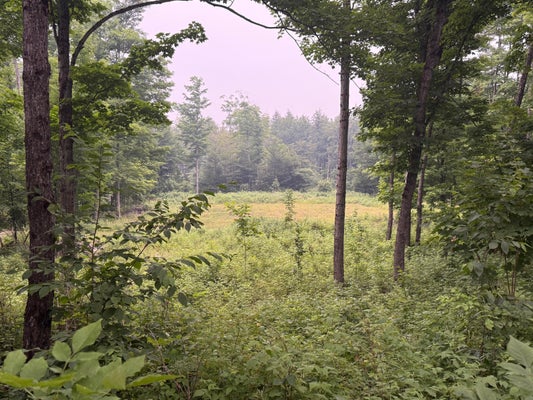 0 E M48, RABER, MI 49736 - Image fdbf6b1af589d2ea05e4b8583da6322d/1865745787