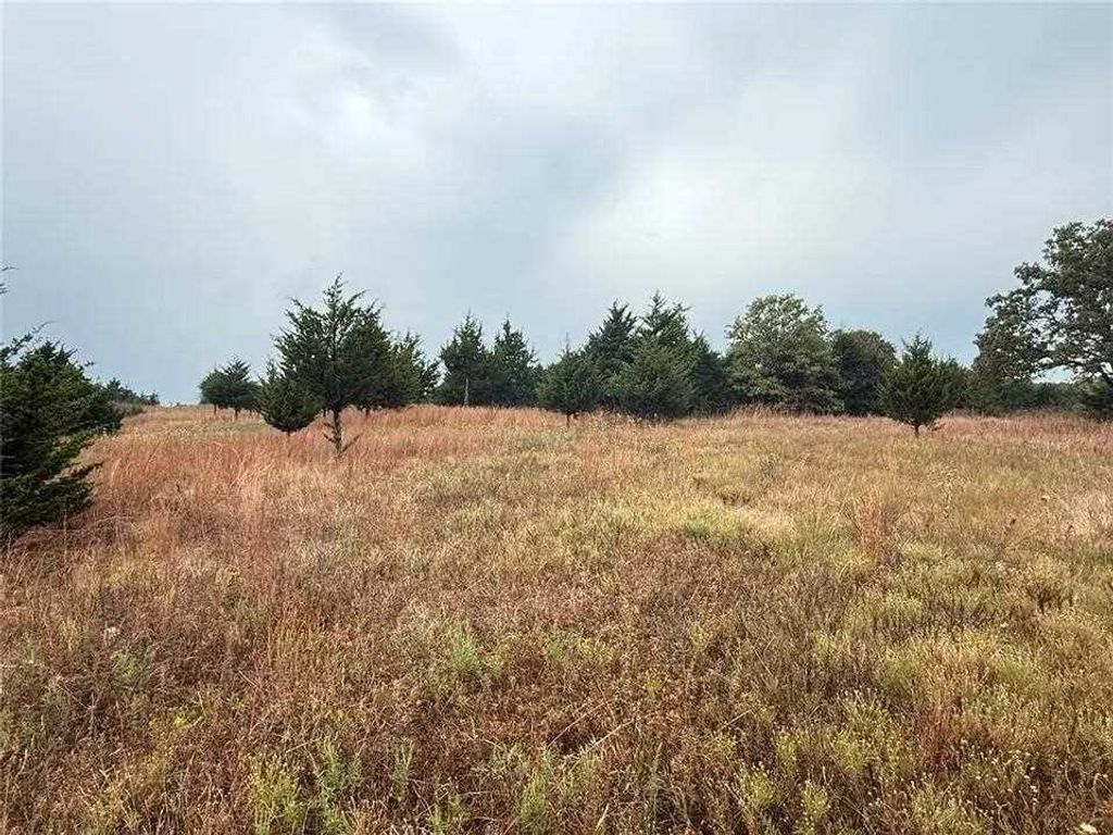 Photo of 850215 S 3400, Chandler, OK 74834 (MLS # 134187)