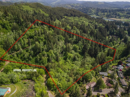 2025 SE ALDER LANE DR, TOLEDO, OR 97391 - Image 1bd7c900567581e33544911cf4debebc/809651499