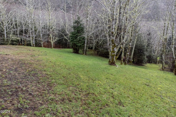 2600 AEOLIAN WAY, NESKOWIN, OR 97149 - Image 1f68d27016f0f5d3f954dd417bc3bb1b/2133087005