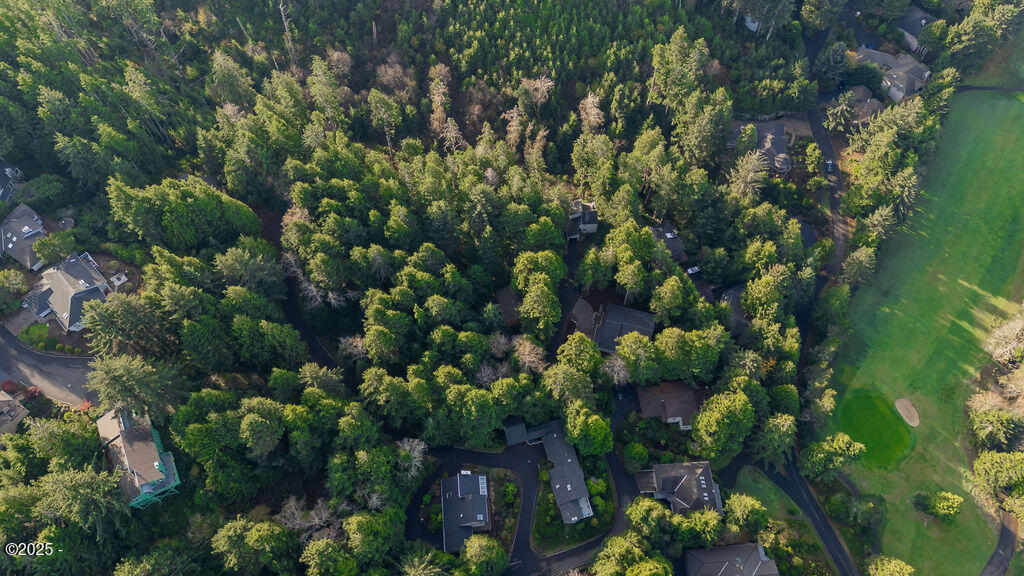 T/L 498 Spruce Burl Ln