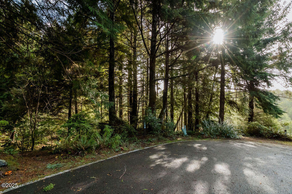 T/L 498 Spruce Burl Ln