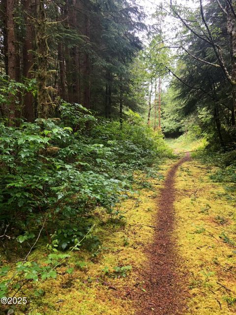 TL 500 SE Chittum Drive South Beach OR 97366