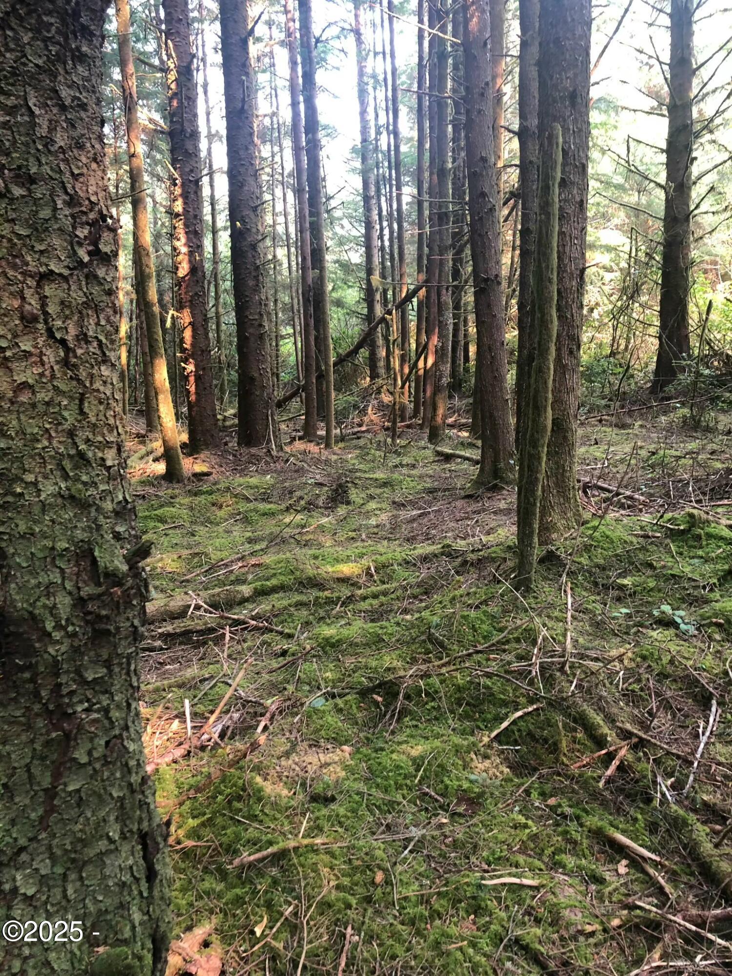 TL 500 SE Chittum Drive