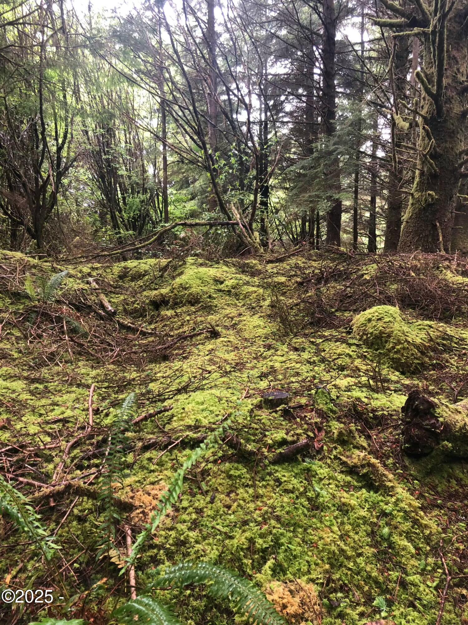 TL 500 SE Chittum Drive