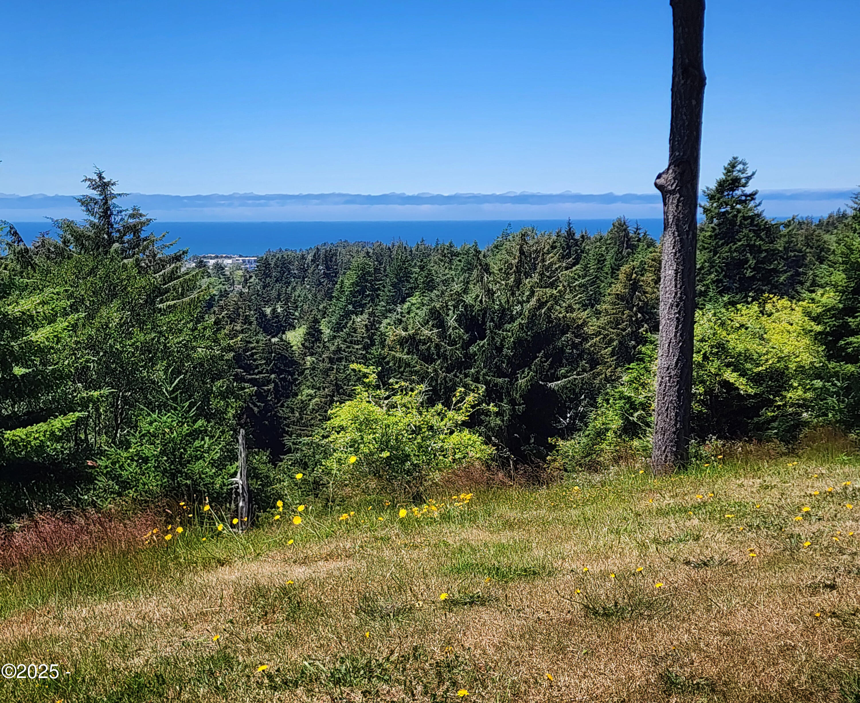 671 NE Newport Heights Drive