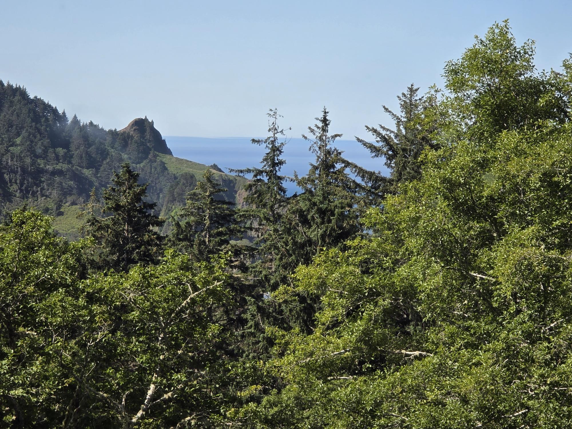 56100 High Point Road