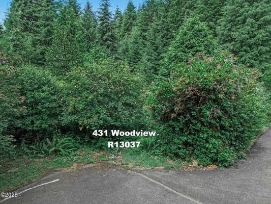 429 WOODVIEW LN, GLENEDEN BEACH, OR 97388 - Image afcbaec053c9733c239d817175f5bb21/400991343