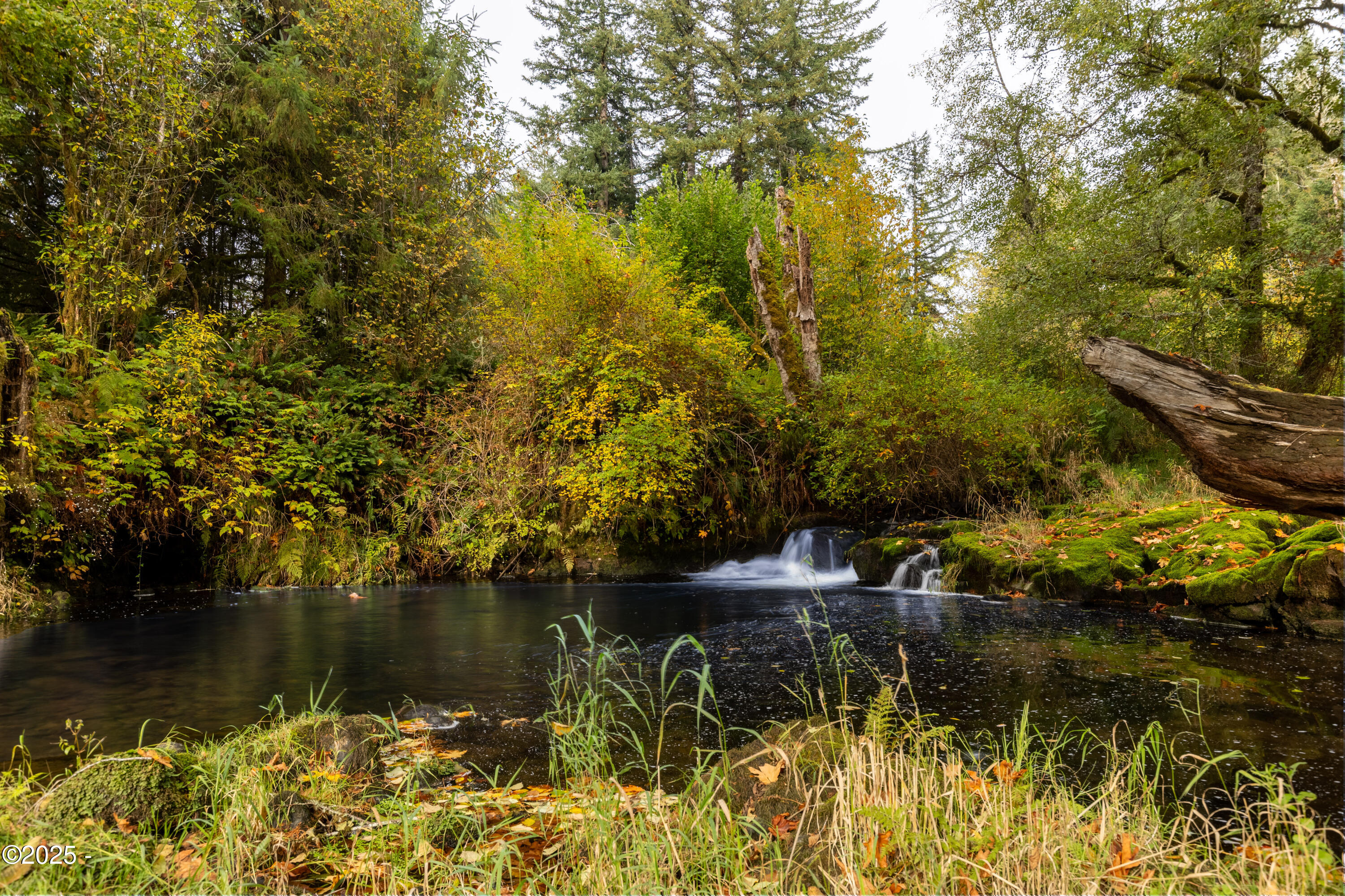 563 Moonshine Park Road