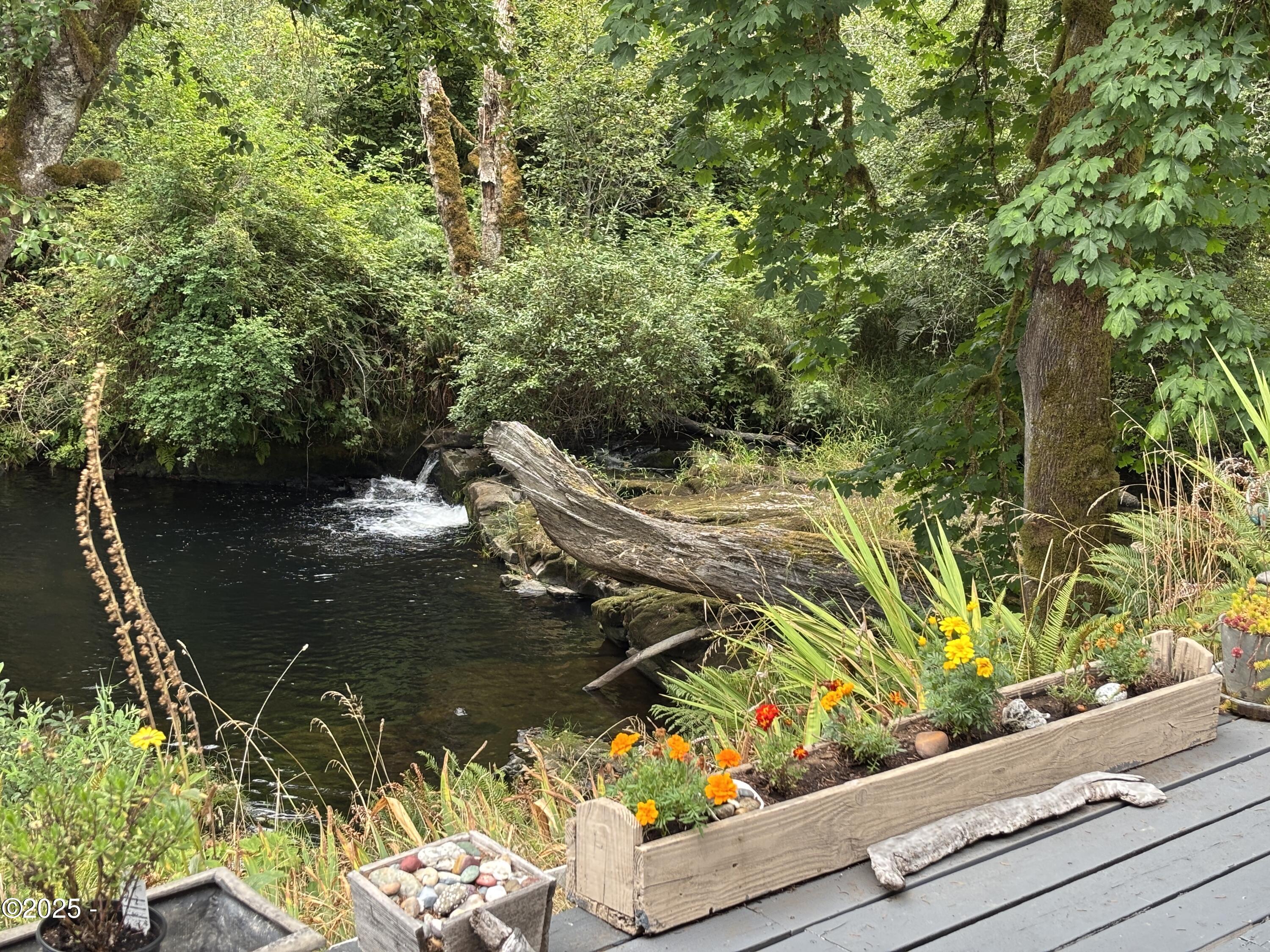 563 Moonshine Park Road