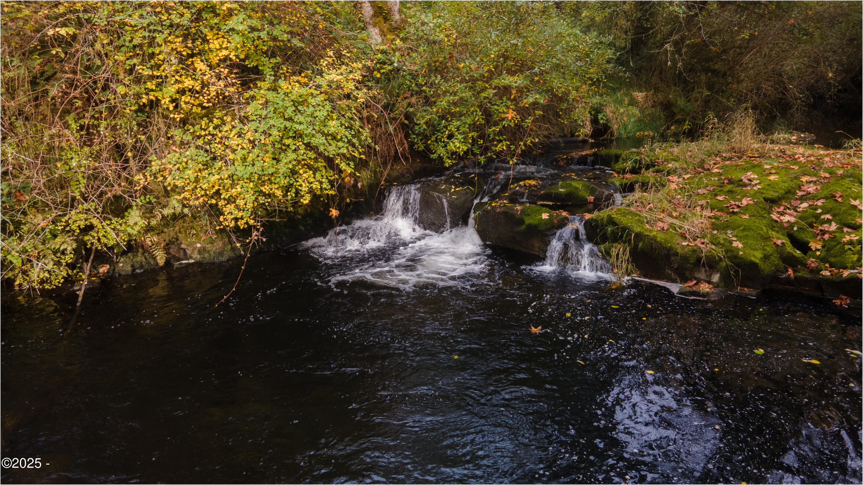 563 Moonshine Park Road