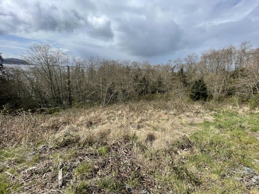 S RIDGE DR, BAY CITY, OR 97107 - Image f46ed4e9cec1e5a3c2977fb5759fe071/1395655065