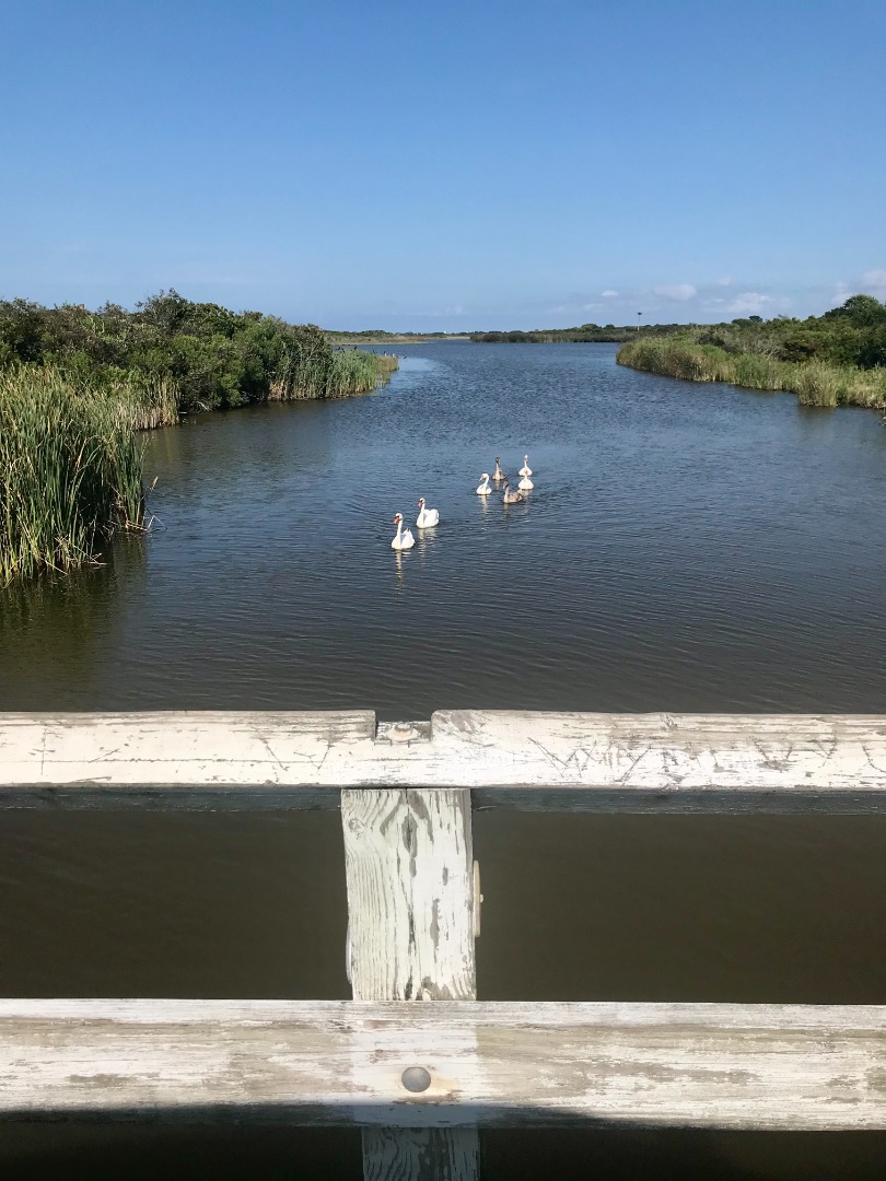 Nantucket, Massachusetts 02554, United States, 2 Bedrooms Bedrooms, ,3 BathroomsBathrooms,Residential,Active,130184