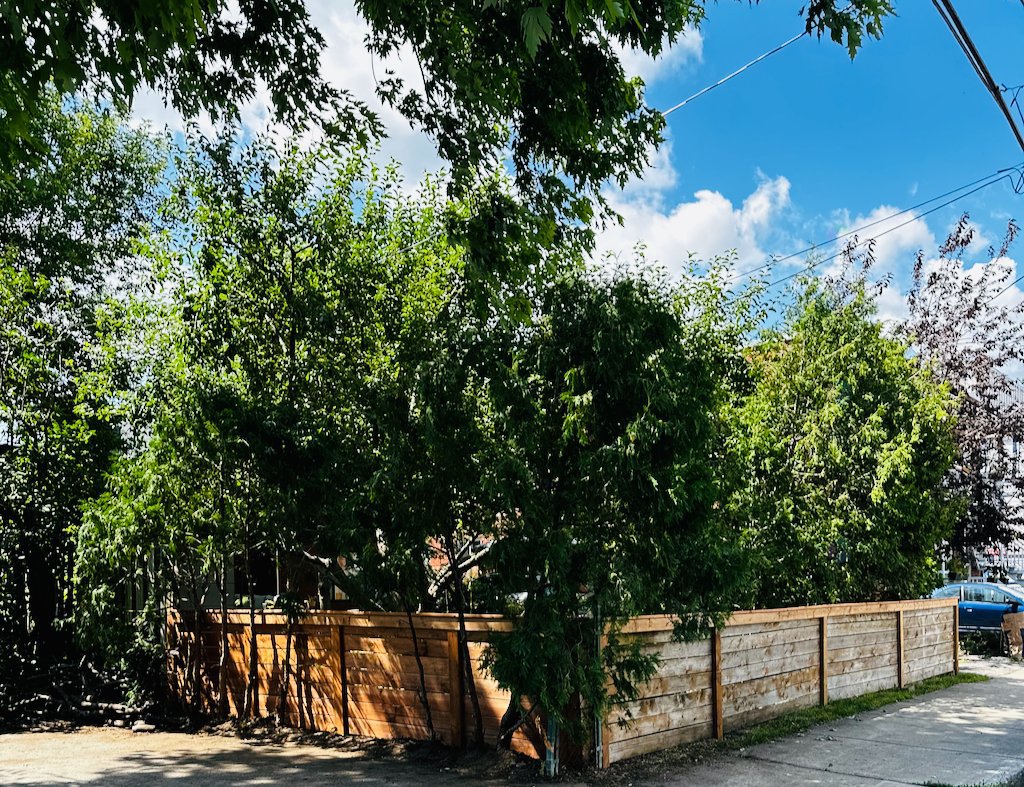 Montréal (Lachine), QC H8S 3C1, Canada, 4 Bedrooms Bedrooms, ,2 BathroomsBathrooms,Residential,Active,242257