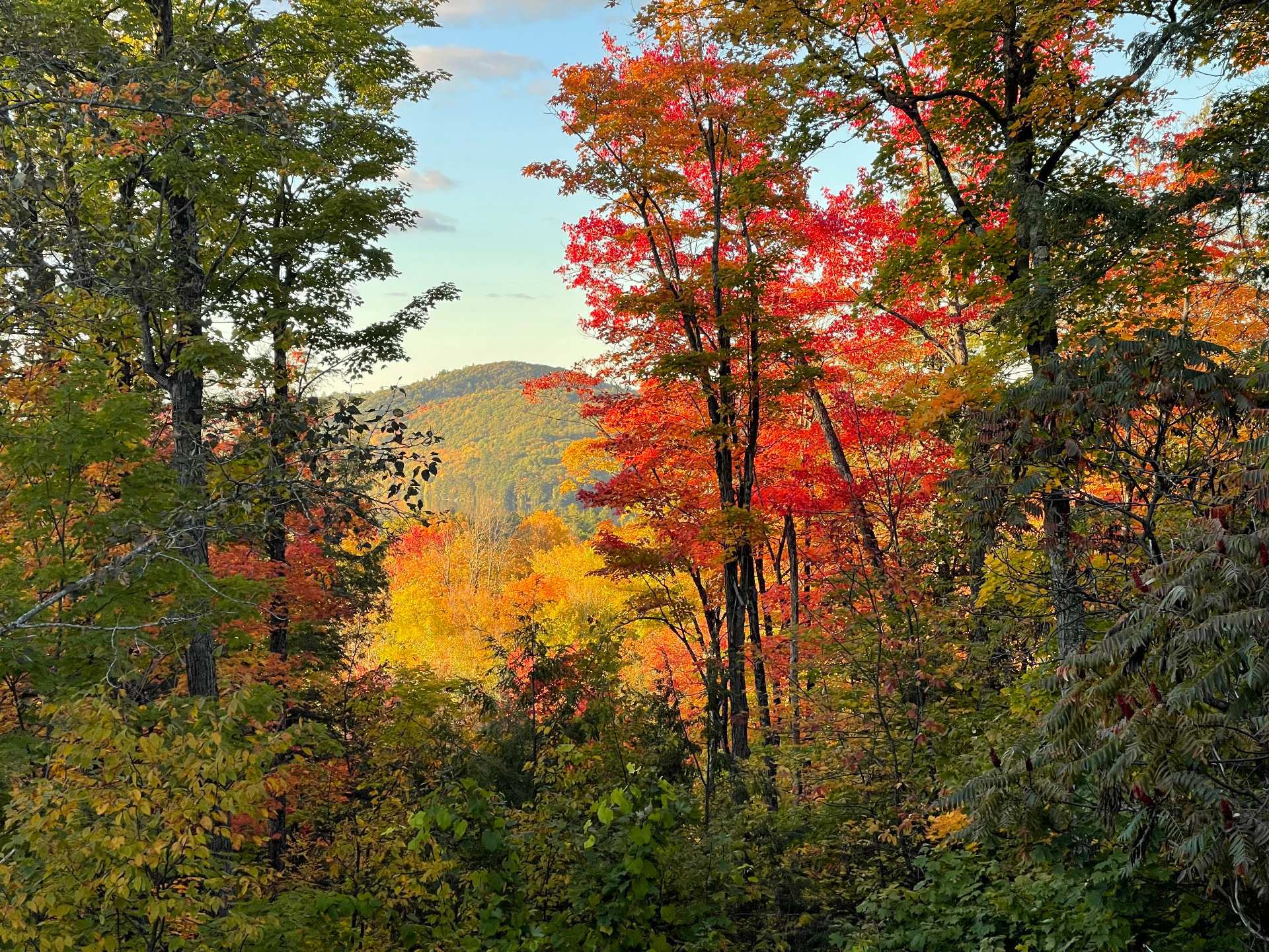 Chelsea, QC J9B 2H5, Canada, 5 Bedrooms Bedrooms, ,4 BathroomsBathrooms,Residential,Active,156632