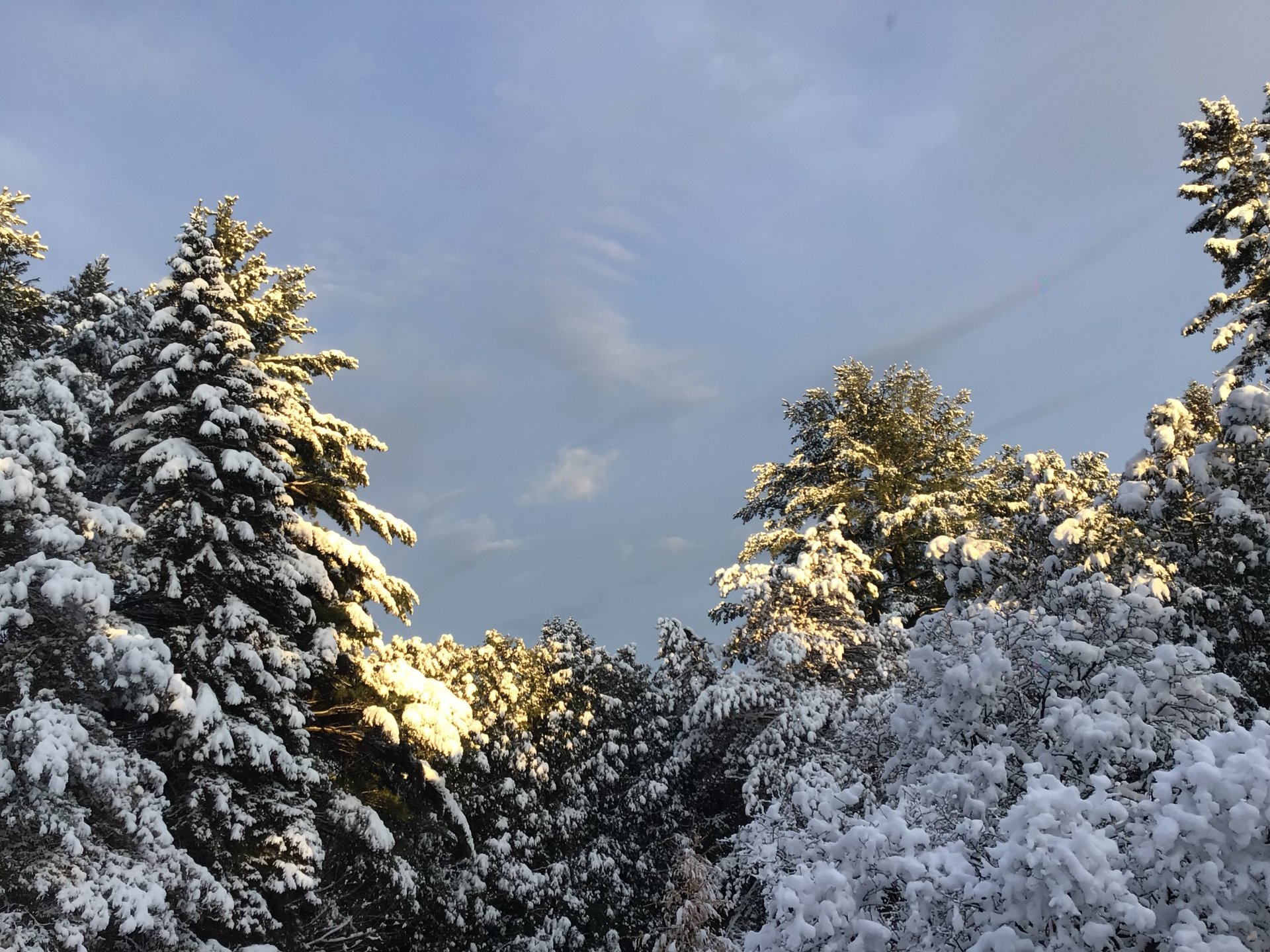 Oka, QC J0N 1E0, Canada, 3 Bedrooms Bedrooms, ,1 BathroomBathrooms,Residential,Active,75012