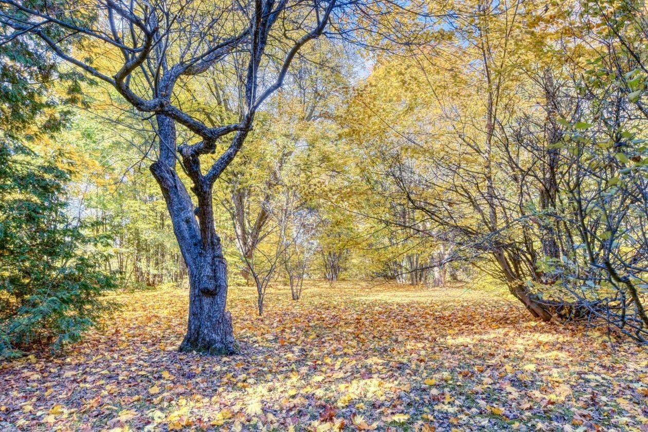 Oka, QC J0N 1E0, Canada, 3 Bedrooms Bedrooms, ,1 BathroomBathrooms,Residential,Active,75012